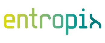 entropix logo